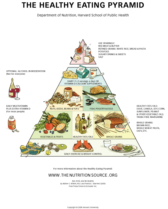 Food Pyramid In Spanish Language