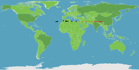 economic center of gravity