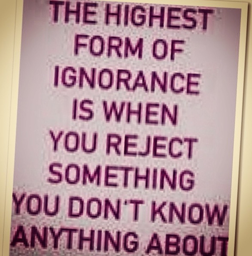 ignorance &amp; indolence and (enlightened) conflict | Enlightened Conflict